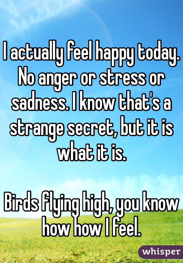 I actually feel happy today. No anger or stress or sadness. I know that's a strange secret, but it is what it is.

Birds flying high, you know how how I feel.