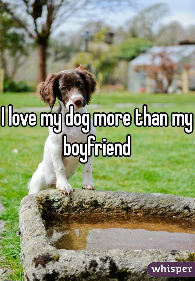 I love my dog more than my boyfriend 