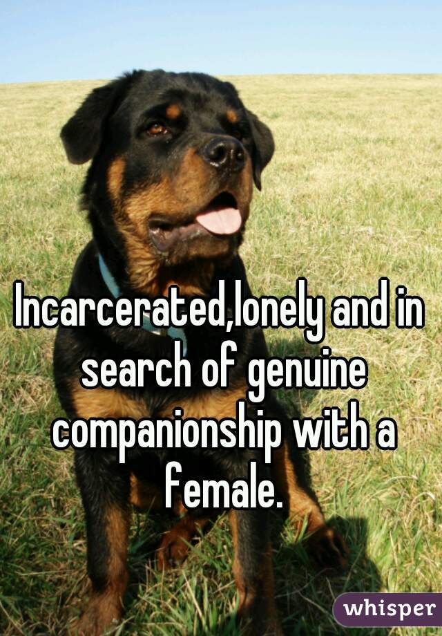 Incarcerated,lonely and in search of genuine companionship with a female.