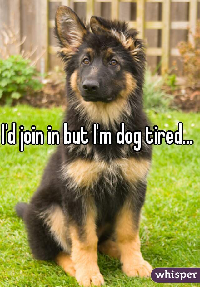 I'd join in but I'm dog tired... 