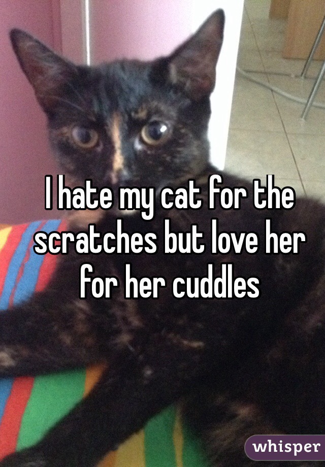 I hate my cat for the scratches but love her for her cuddles
