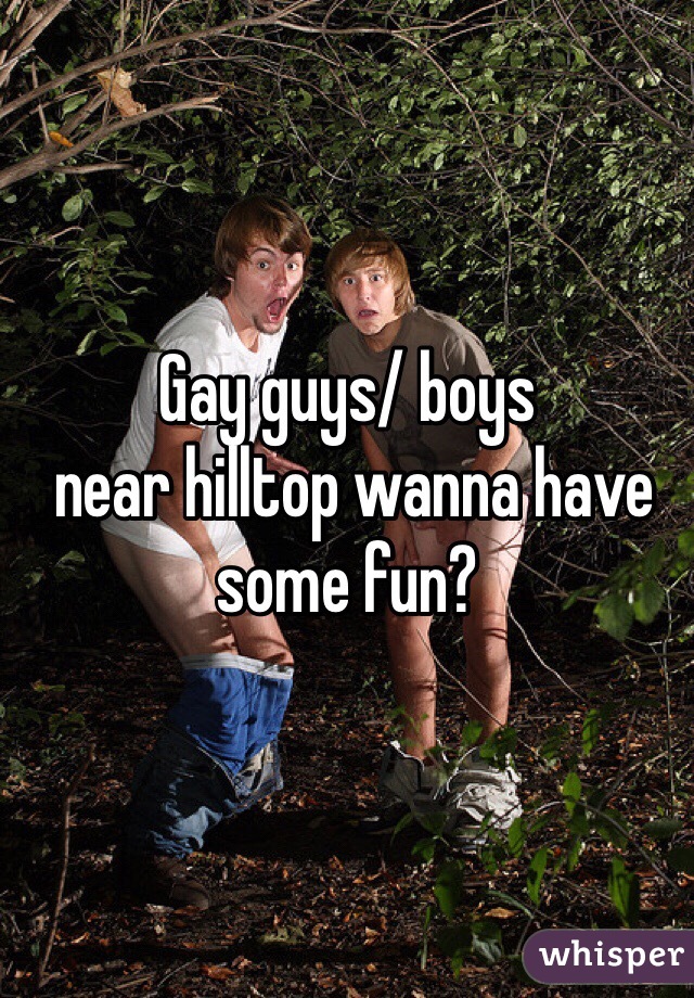 Gay guys/ boys
 near hilltop wanna have some fun? 
