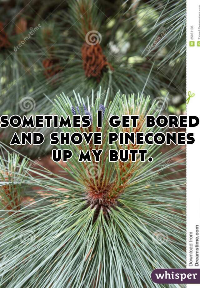 sometimes I get bored and shove pinecones up my butt.