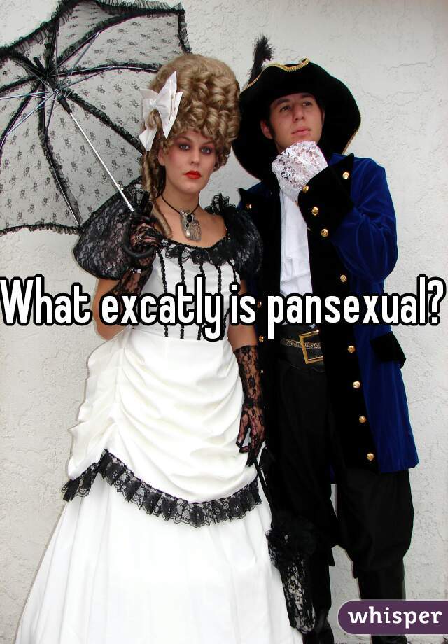 What excatly is pansexual?