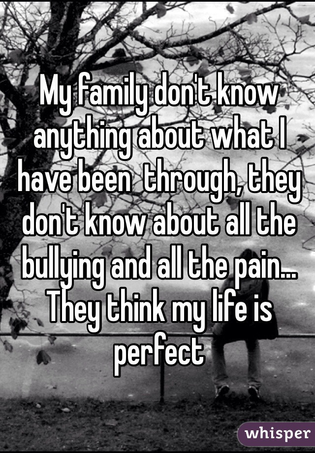 My family don't know anything about what I have been  through, they don't know about all the bullying and all the pain... They think my life is perfect
