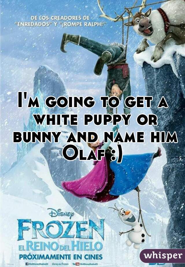 I'm going to get a white puppy or bunny and name him Olaf :) 