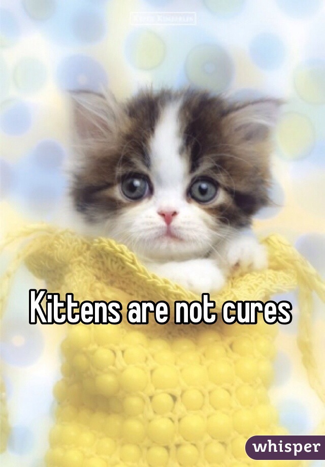 Kittens are not cures