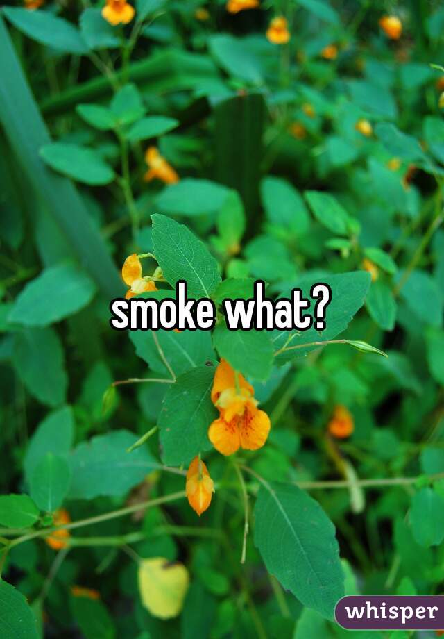 smoke what?