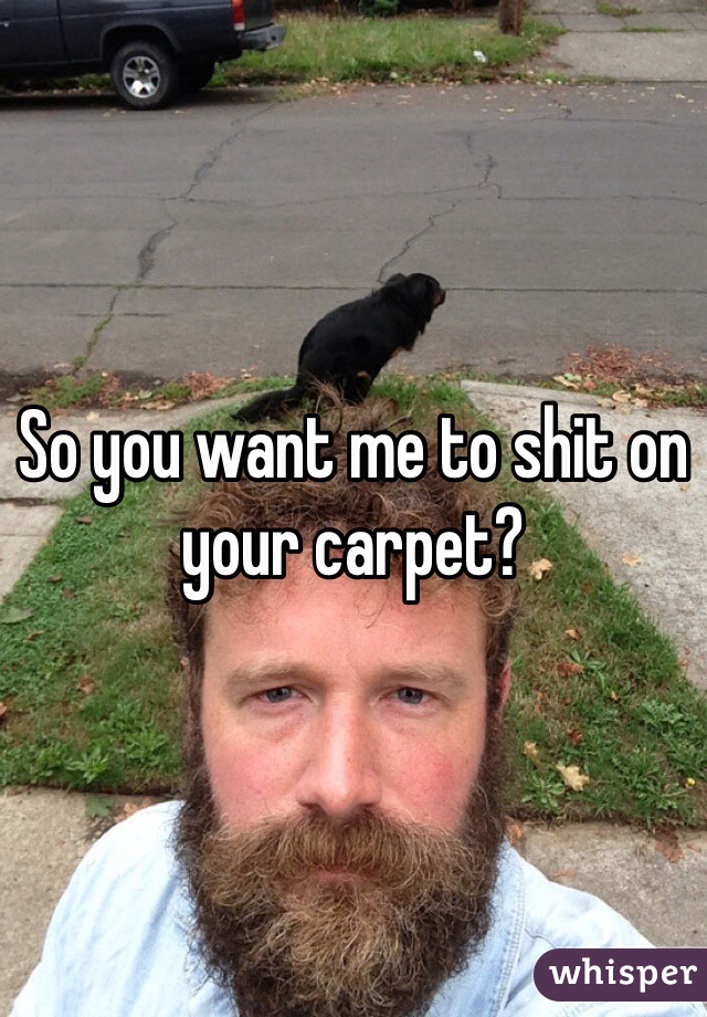So you want me to shit on your carpet?