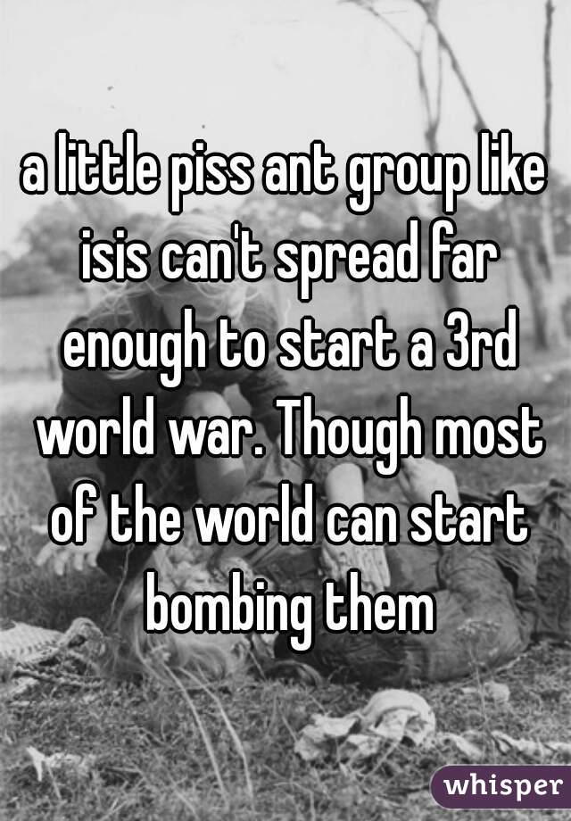 a little piss ant group like isis can't spread far enough to start a 3rd world war. Though most of the world can start bombing them