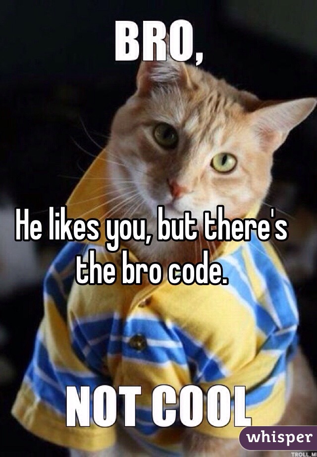 He likes you, but there's the bro code. 