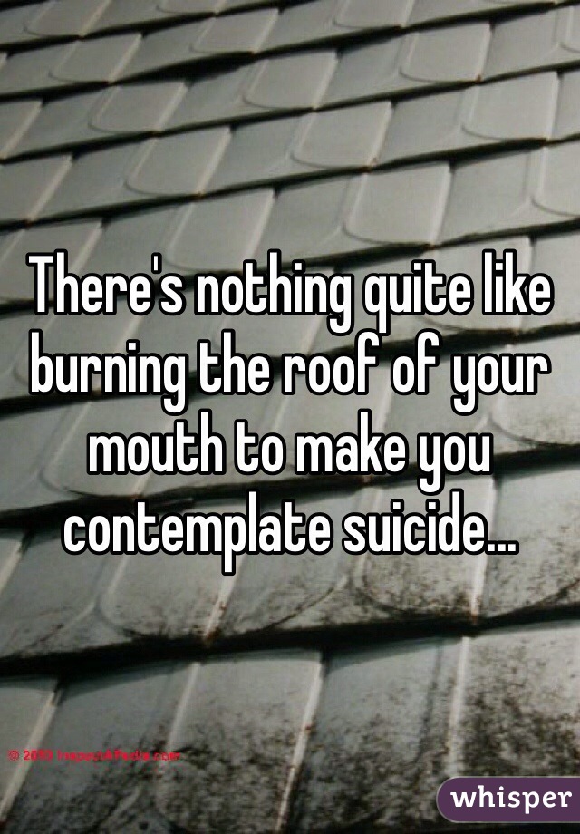 There's nothing quite like burning the roof of your mouth to make you contemplate suicide...