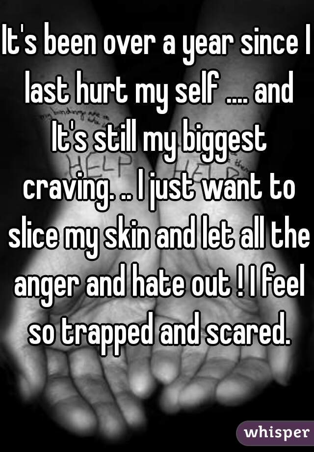 It's been over a year since I last hurt my self .... and It's still my biggest craving. .. I just want to slice my skin and let all the anger and hate out ! I feel so trapped and scared.