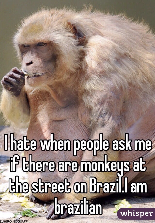 I hate when people ask me if there are monkeys at the street on Brazil.I am brazilian 