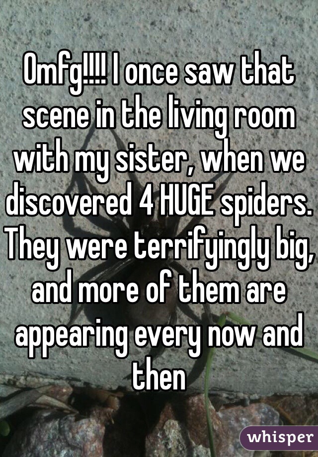 Omfg!!!! I once saw that scene in the living room with my sister, when we discovered 4 HUGE spiders. They were terrifyingly big, and more of them are appearing every now and then 