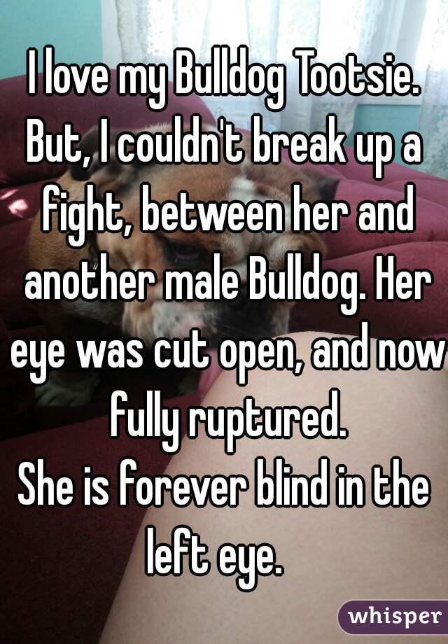 I love my Bulldog Tootsie.
But, I couldn't break up a fight, between her and another male Bulldog. Her eye was cut open, and now fully ruptured.
She is forever blind in the left eye.   
