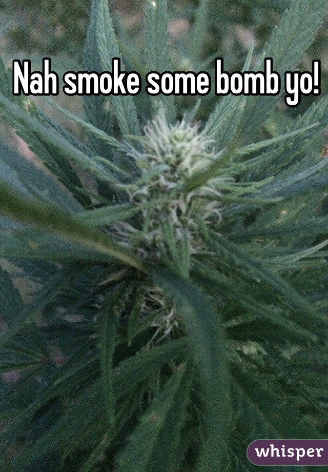 Nah smoke some bomb yo! 