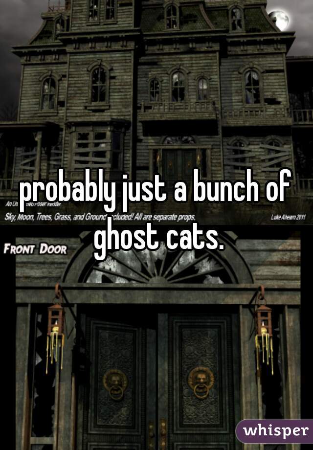 probably just a bunch of ghost cats.