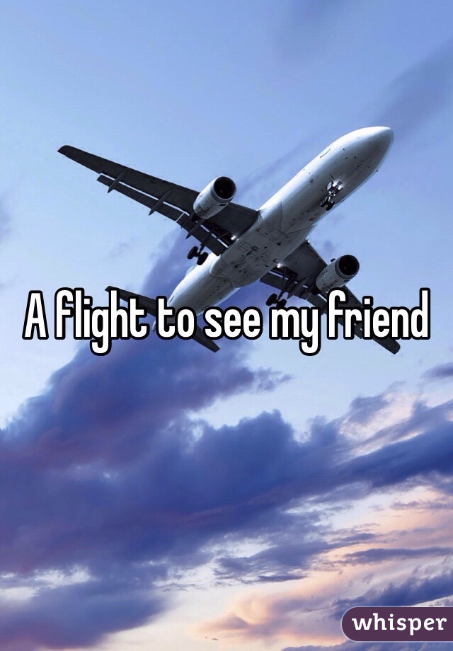 A flight to see my friend