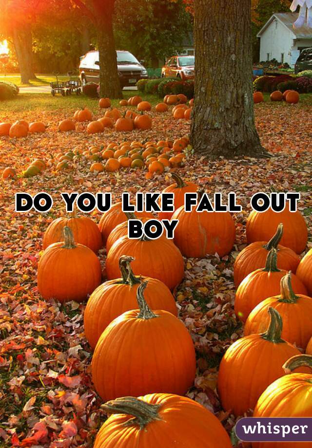 do you like fall out boy  