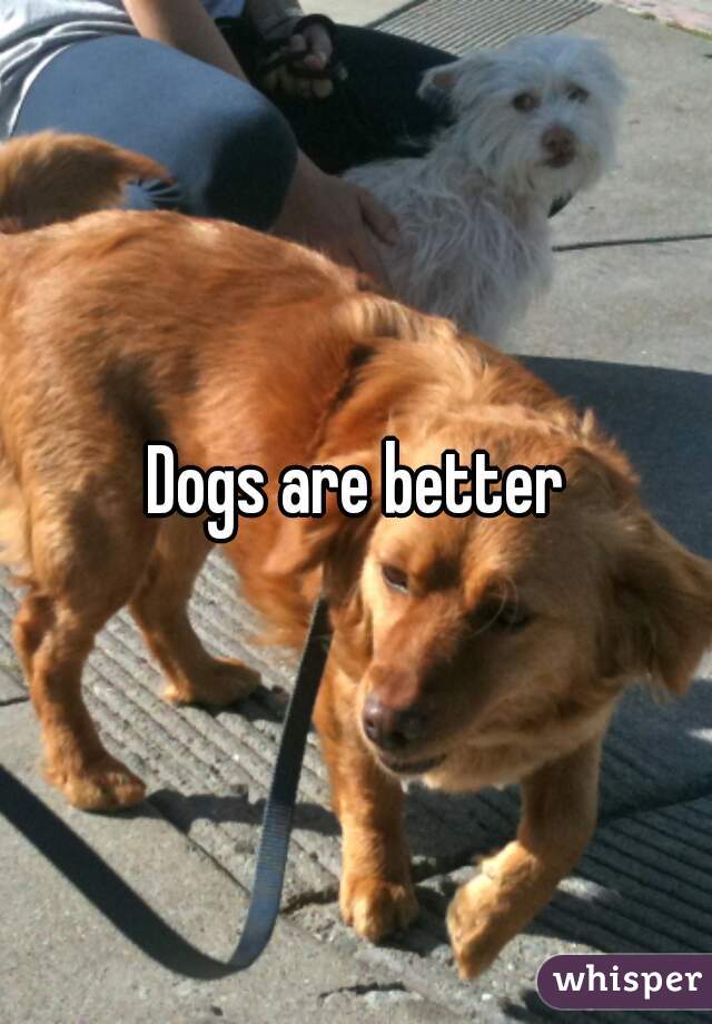 Dogs are better