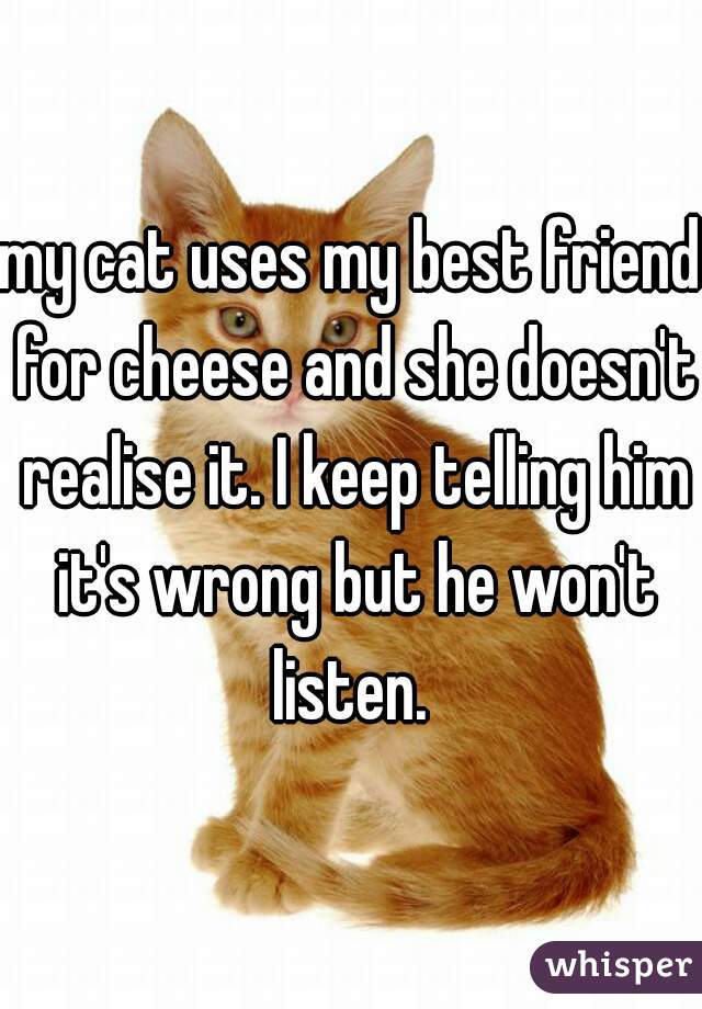 my cat uses my best friend for cheese and she doesn't realise it. I keep telling him it's wrong but he won't listen. 