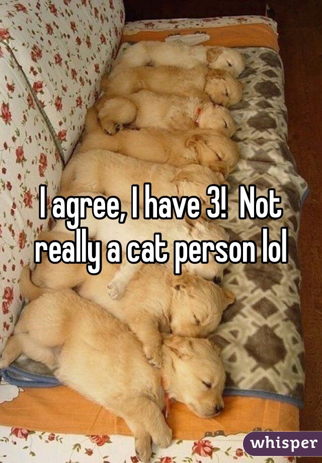 I agree, I have 3!  Not really a cat person lol