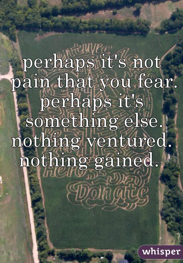 perhaps it's not pain that you fear.
perhaps it's something else.
nothing ventured.
nothing gained. 