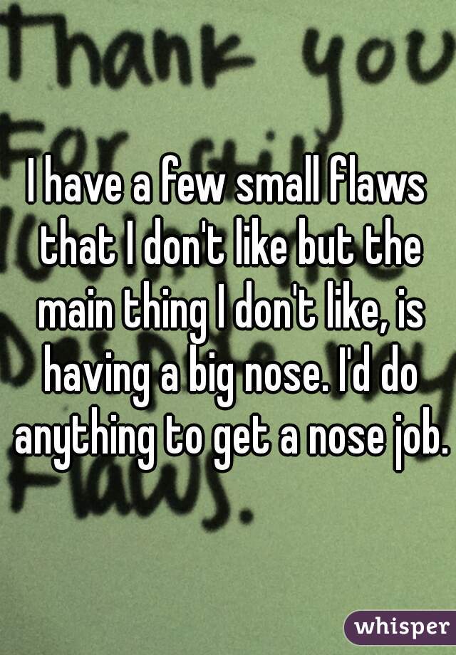 I have a few small flaws that I don't like but the main thing I don't like, is having a big nose. I'd do anything to get a nose job.