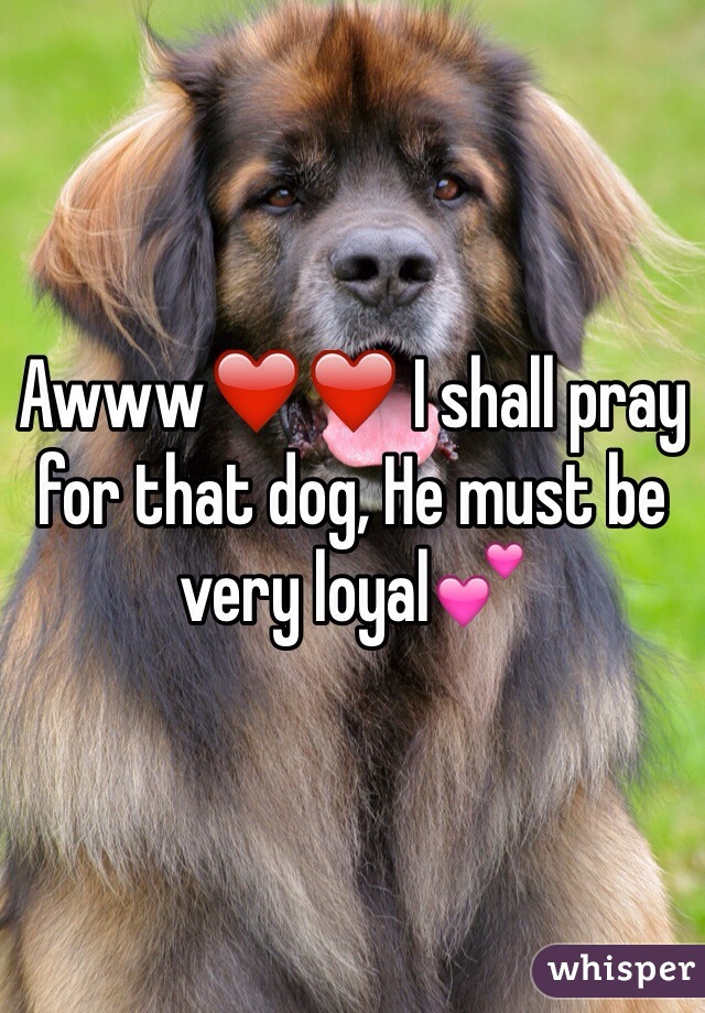 Awww❤️❤️ I shall pray for that dog, He must be very loyal💕