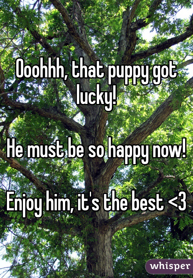 Ooohhh, that puppy got lucky!

He must be so happy now!

Enjoy him, it's the best <3