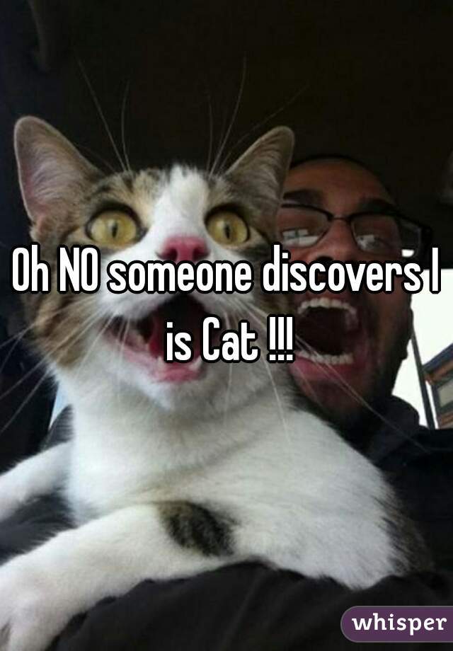 Oh NO someone discovers I is Cat !!!
