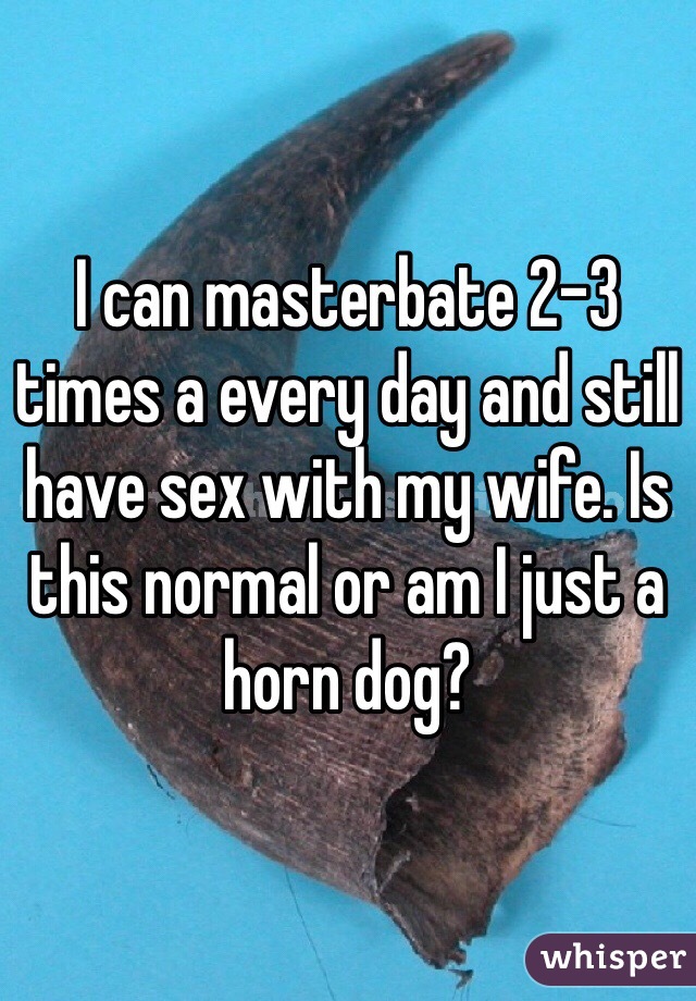 I can masterbate 2-3 times a every day and still have sex with my wife. Is this normal or am I just a horn dog?
