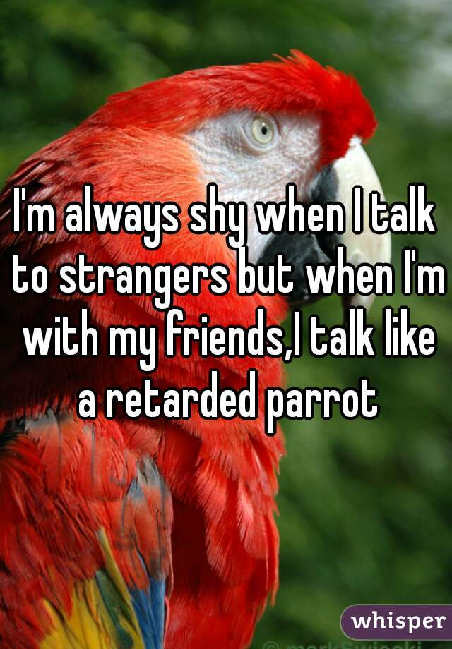 I'm always shy when I talk to strangers but when I'm with my friends,I talk like a retarded parrot