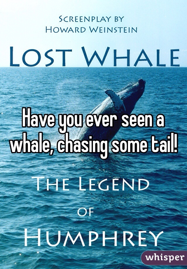 Have you ever seen a whale, chasing some tail!