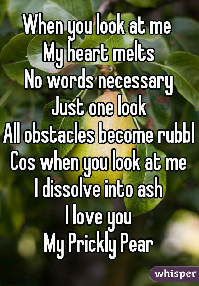 When you look at me 
My heart melts
No words necessary
Just one look
All obstacles become rubble
Cos when you look at me
I dissolve into ash
I love you
My Prickly Pear