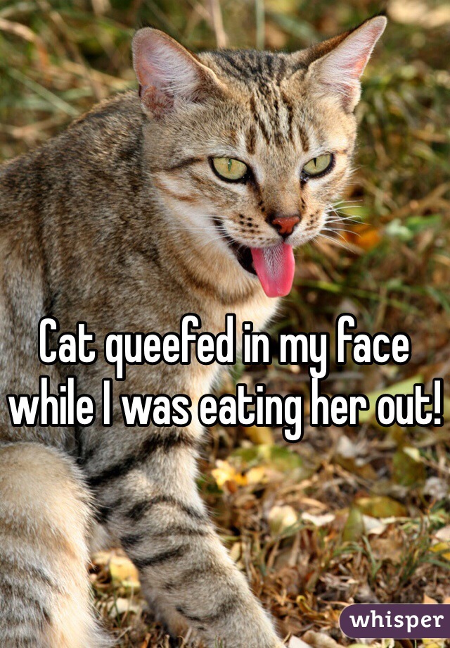Cat queefed in my face while I was eating her out! 