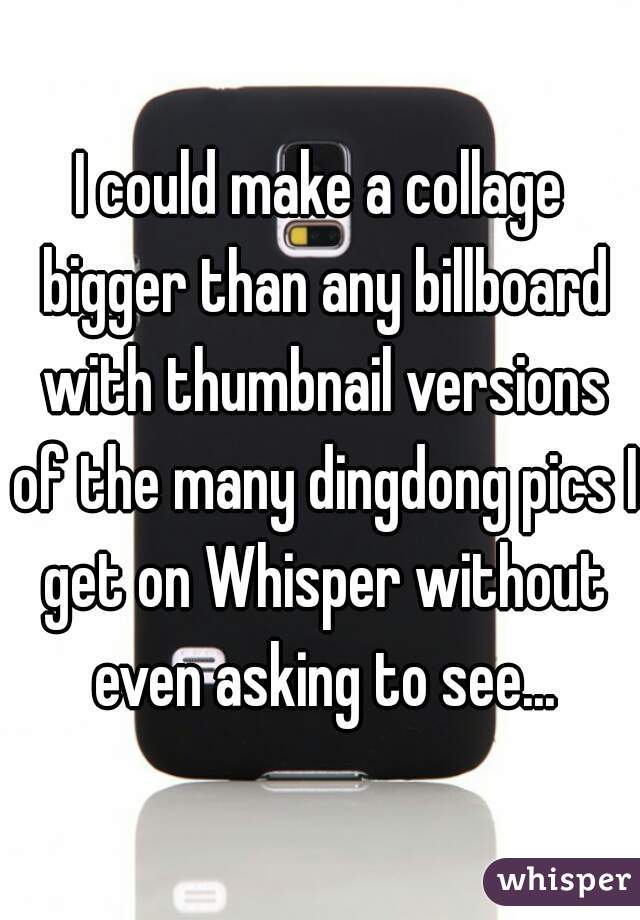 I could make a collage bigger than any billboard with thumbnail versions of the many dingdong pics I get on Whisper without even asking to see...