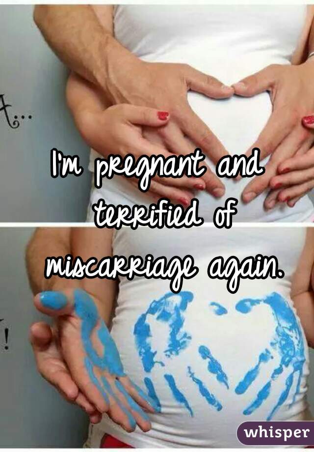 I'm pregnant and terrified of miscarriage again.