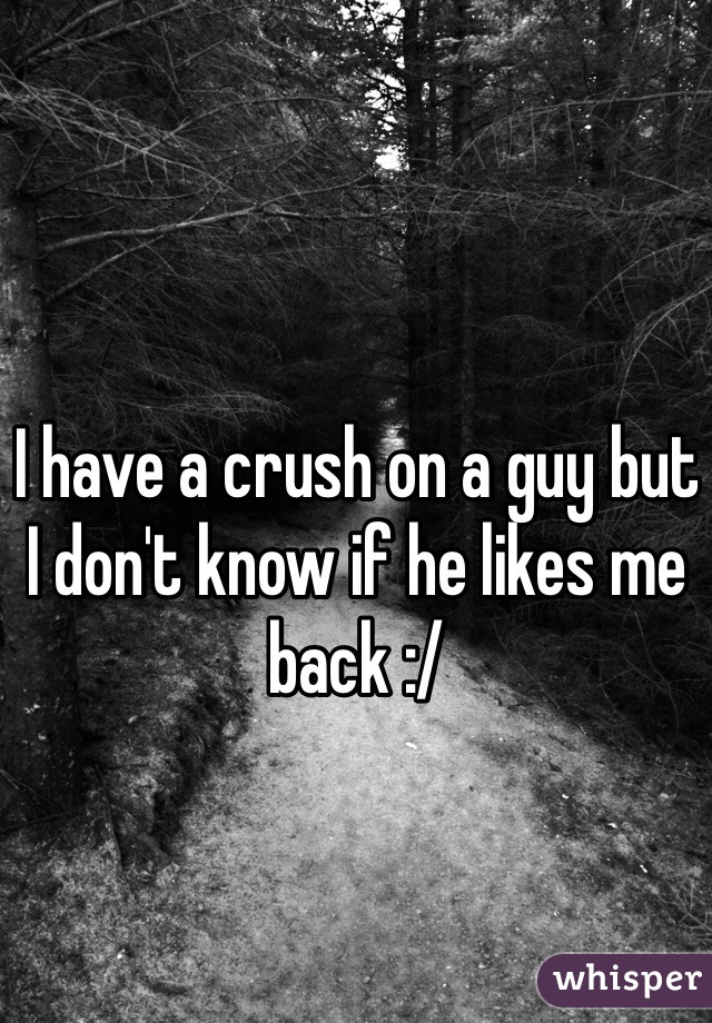 I have a crush on a guy but I don't know if he likes me back :/