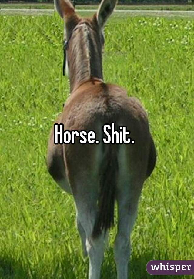 Horse. Shit. 