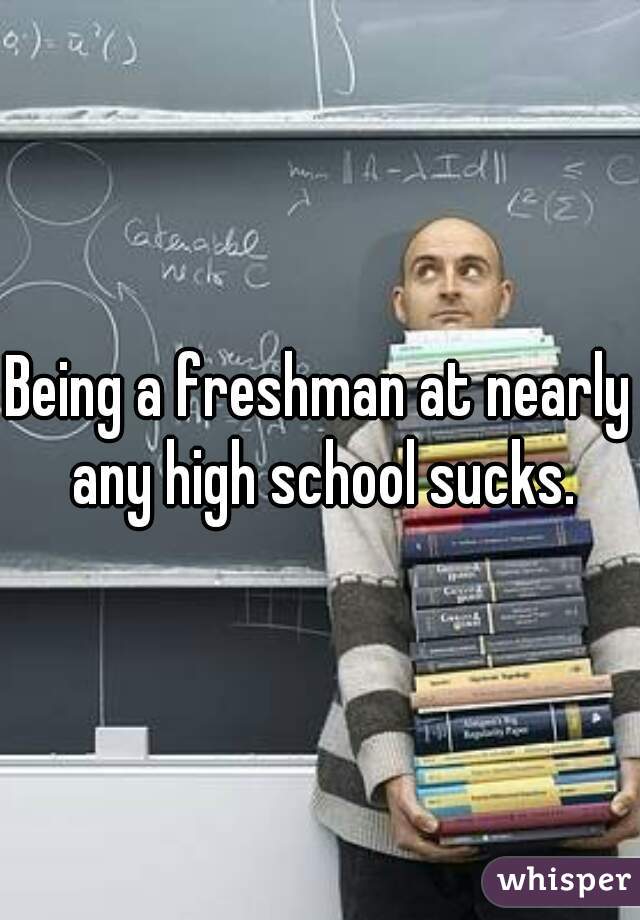 Being a freshman at nearly any high school sucks.