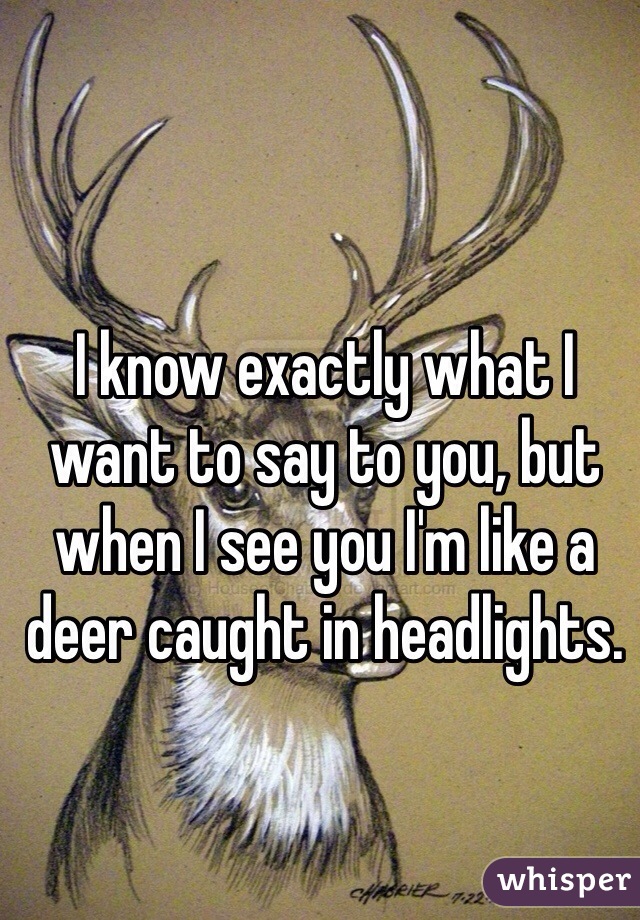 I know exactly what I want to say to you, but when I see you I'm like a deer caught in headlights. 