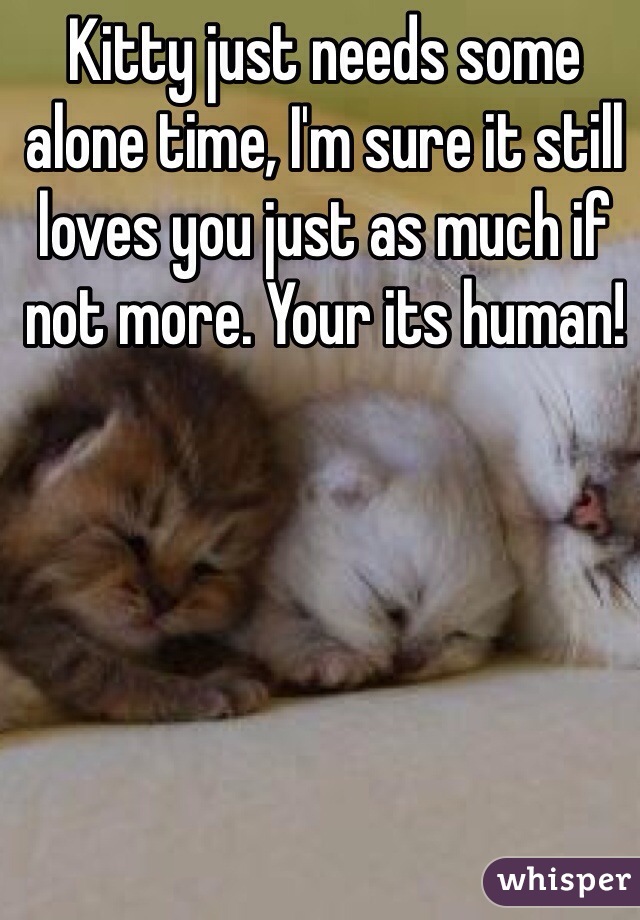 Kitty just needs some alone time, I'm sure it still loves you just as much if not more. Your its human!