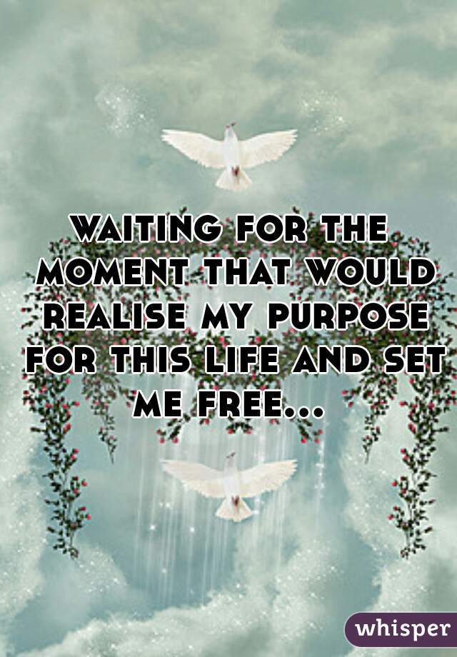 waiting for the moment that would realise my purpose for this life and set me free... 