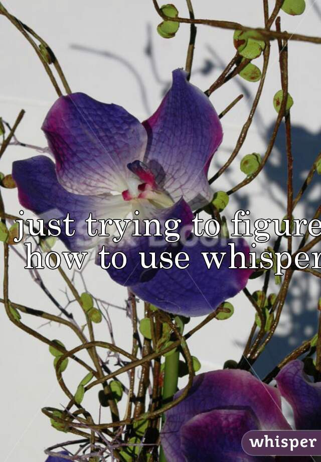 just trying to figure how to use whisper
