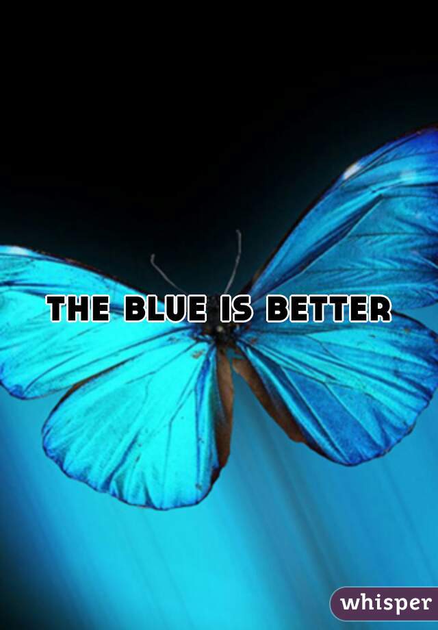 the blue is better