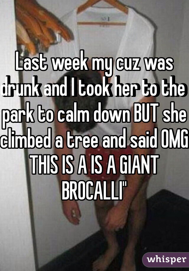 Last week my cuz was drunk and I took her to the park to calm down BUT she climbed a tree and said OMG THIS IS A IS A GIANT BROCALLI"