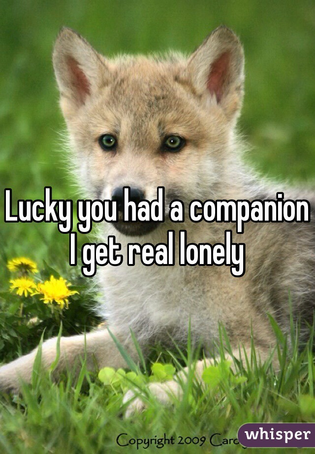Lucky you had a companion I get real lonely 