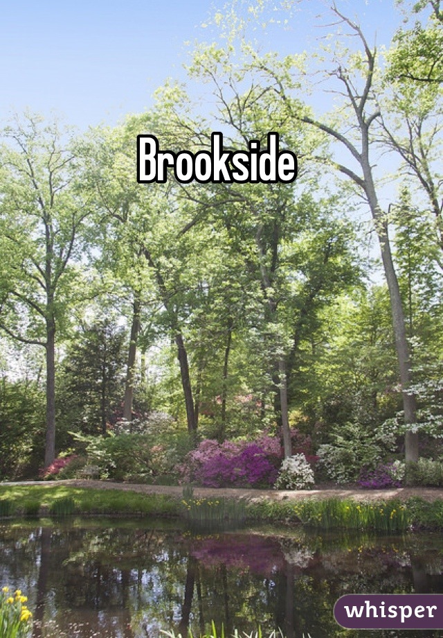 Brookside 
